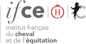 Logo ifce 300 px